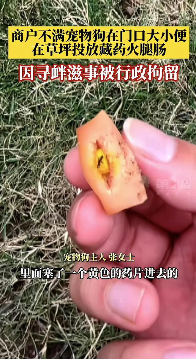 6686体育商户草坪投药害死多条宠物狗狗主人：要是毒死嘴馋的孩子怎么办(图2)